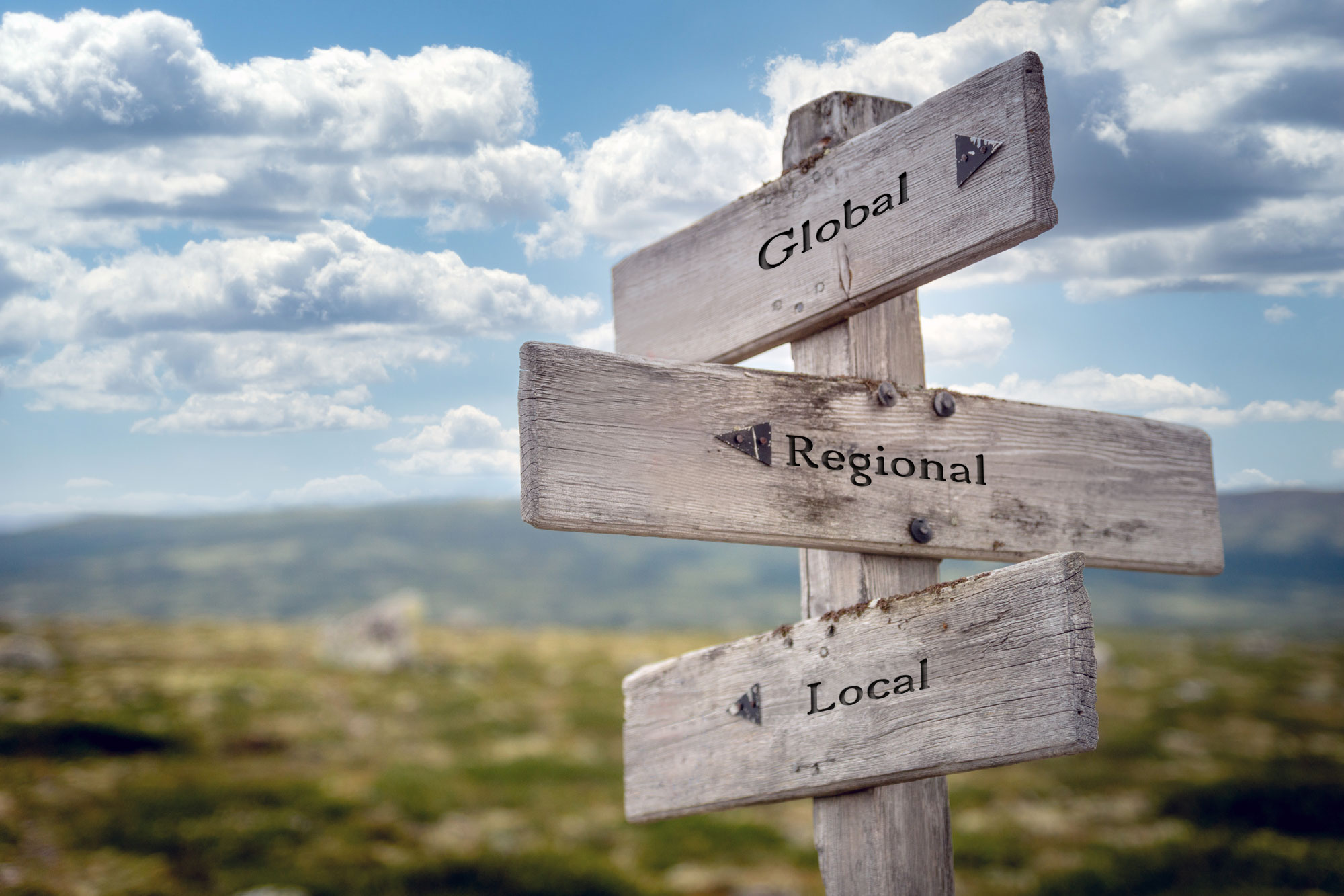local seo services